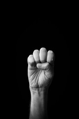 Wall Mural - Hand demonstrating the Japanese sign language letter 'SA' or 'さ' with copy space