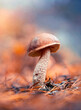 Macro of a single brown boletus mushroom in the scenery with a soft, dreamy, and orange background and bokeh. Shallow depth of field, Soft and blurred foreground