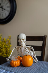 Wall Mural - Skeleton sits at a table with mini pumpkins. Halloween concept