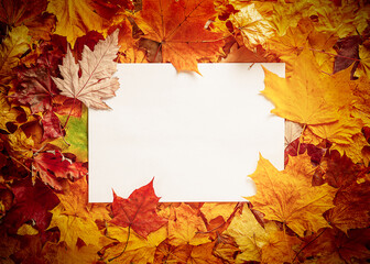Wall Mural - Autumn concept - background of dry fallen autumn leaves with a place for text in the middle - a white sheet of paper surrounded by autumn leaves, copy space