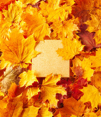 autumn concept - background of dry fallen autumn maple leaves with space for text in the middle - sq