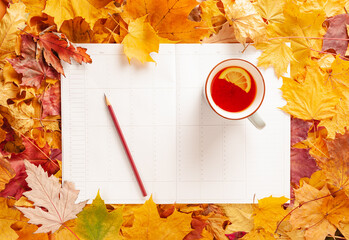 Wall Mural - Autumn flat lay - autumn leaves, cup of tea with lemon, blank weekly planner, pencil