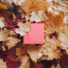Wall Mural - Autumn concept - background of dry fallen autumn leaves with space for text in the middle - square pink podium surrounded by autumn leaves, copy space