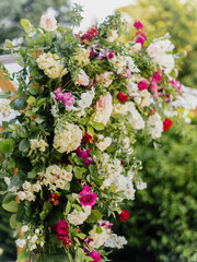 Wall Mural - Close up of colorful summer flowers with green leaves at sunny day