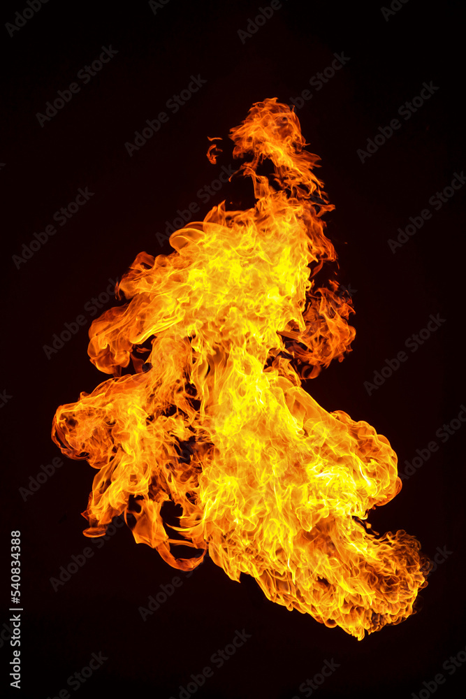 Burning flame on black background