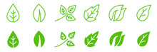 Conjunto De Iconos De Hoja Verde De Plantas. Hoja De árbol. Ilustración Vectorial
