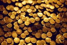 Gold Coins Illustration