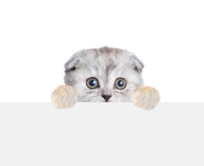 Poster - Scared tiny kitten looks above empty white banner. isolated on white background