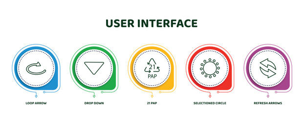 Poster - editable thin line icons with infographic template. infographic for user interface concept. included loop arrow, drop down, 21 pap, selectioned circle, refresh arrows icons.