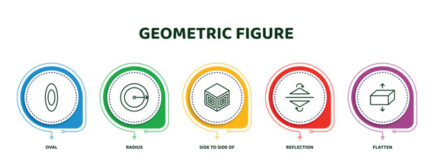Poster - editable thin line icons with infographic template. infographic for geometric figure concept. included oval, radius, side to side of a cube, reflection, flatten icons.