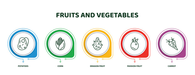 Poster - editable thin line icons with infographic template. infographic for fruits and vegetables concept. included potatoes, corn, dragon fruit, passion fruit, carrot icons.