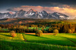 Tatra Mountains. View from the pass over Łapsznka. Mountains, meadows, fields, spring, Poland. Belianske Tatras. Tatry, Panorama. Widok z Przełęcz nad Łapsznką na góry, polska, spisz. 