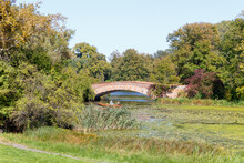 Bridge In The Park In Wilanów