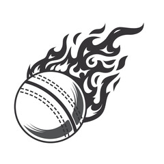 Wall Mural - Hot cricket ball fire logo silhouette. cricket club graphic design logos or icons. vector illustration.