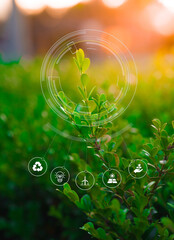 abstract green background with icons. ecology sustainability and renewals concept