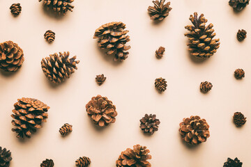 Wall Mural - pine cones on colored table. natural holiday background with pinecones grouped together. Flat lay. Winter concept