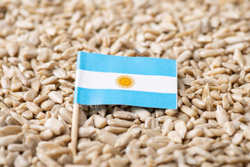 Sticker - Small paper flag of Argentina on seed of sunflower. Growing sunflower in Argentina, origin of seeds concept