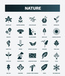 © Farahim - set of 25 filled nature icons. flat filled icons such as grape leaf, camping bonfire, perfoliate, falling debris, hair style, damaged, sunny protic, yucca, coconut tree standing, ovate icons.