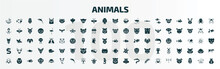 Set Of 100 Animals Filled Icons Set. Flat Icons Such As Pelican, Skunk, Racoon, Zander, Eel, Flounder, Mole, Ant Eater, Beaver, Dragonflay Glyph Icons.
