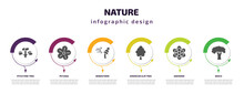 Nature Infographic Template With Icons And 6 Step Or Option. Nature Icons Such As Pitch Pine Tree, Petunia, Windstorm, American Elm Tree, Anemone, Beech Vector. Can Be Used For Banner, Info Graph,