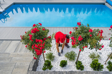 Wall Mural - Gardener Doing Pool Landscaping