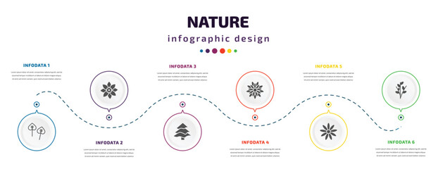 Poster - nature infographic element with icons and 6 step or option. nature icons such as poplar, jonquil, ba