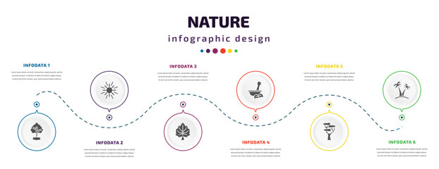 Poster - nature infographic element with icons and 6 step or option. nature icons such as tree growing, sun flare, basswood tree, therapy, eastern white pine tree, palm islands vector. can be used for