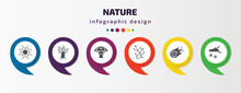 Nature Infographic Template With Icons And 6 Step Or Option. Nature Icons Such As Sun Flare, Leafless Tree, Mushroom With Spots, Ikebana Flowers, Asteroids, Night Snow Vector. Can Be Used For