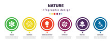 Nature Infographic Element With Icons And 6 Step Or Option. Nature Icons Such As Freesia, Knapweed, American Chestnut Tree, Hypericum, Pine Tree, Anthurium Vector. Can Be Used For Banner, Info