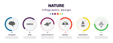 Nature Infographic Element With Icons And 6 Step Or Option. Nature Icons Such As Human Brian, Woods, Planet With Satellite, Obcordate, Camping Bonfire, Yucca Vector. Can Be Used For Banner, Info