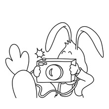 24 / 25 Cute Bunny Makes Photo Of Carrot With Old Fashioned Camera. Christmas, New Year And Easter Contour Vector Illustration. Collection Of Rabbits In Cartoon Style. Humour