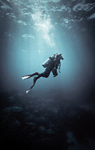 Woman Diver In The Water, Dive Site In Dahab, South Sinai, Egypt