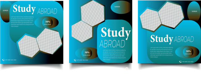 Wall Mural - Study abroad social media post design