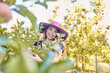 © J Maas/peopleimages.com - Happy farmer, woman and picking an apple from a tree on a farm in spring. Happy female collecting fruits in an orchard during harvest season with fresh red apples growing on an agriculture farmland