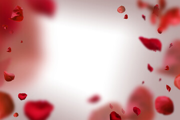 backdrop of rose petals isolated on a transparent white background. valentine day background.