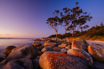 Canvas Print - Binalong Bay Sunset in Tasmania Australia