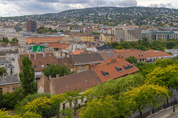 Wall Mural - Town Buda Cityscape Hungary