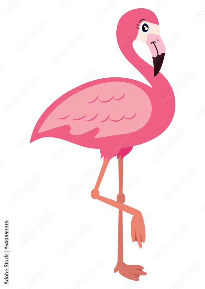Pink flamingo vector illustration isolated on white background ...