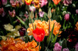 © Cavan Images - Colorful flower garden as floral concept background