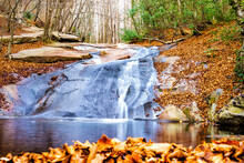 Mountain Stream Flowing Through A Forest