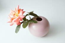 Pink Rose In Vase On White Background