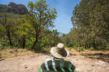 GUADALUPE MOUNTAINS NATIONAL PARK, TEXAS, USA. An Older Gentleman Wearing A Wide-brim Hat Sits In An Adirondack Chair Looking Into A Remote Desert Forest.