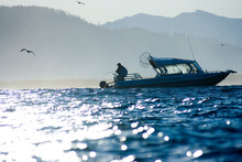 Sport Fishing In Search Of Chinook Or King Salmon. Geribaldi Oregon.