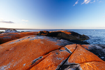 Canvas Print - The Gardens Beach in Tasmania Australia