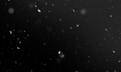 Wall Mural - falling snow isolated on black background