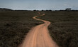 © Cavan Images - A dirt road safari winds through the bush in northern Kenya.