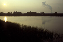 Marshland With Nuclear Power Plant Along The Gulf Coast Of Florida.