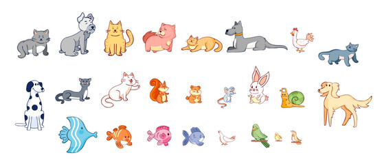  Set group animals line color vector illustration