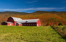 Large Modern Farm Barn By The Side Of The Road Near Stowe In Vermont During The Autumn Color Season