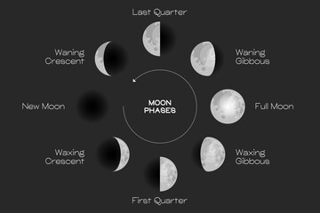 Wall Mural - moon phases scheme sphere shadow cycle astronomy icon set. vector illustration background